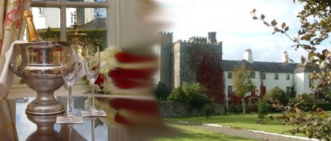 Barberstown Castle image